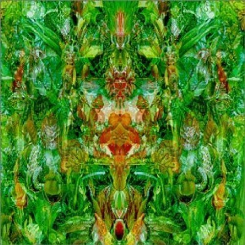 Bill Laswell/Emerald Aether-Shape Shifting-