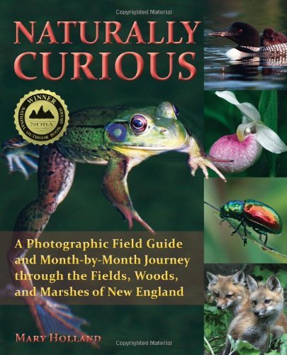 Mary Holland Naturally Curious A Photographic Field Guide And Month By Month Jou 