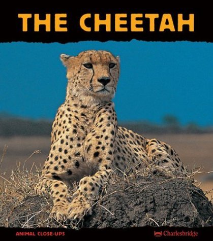 Christine Denis-Huot/Cheetah,The@Fast As Lightning