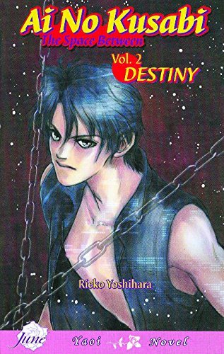 Reiko Yoshihara/AI No Kusabi the Space Between Volume 2@Destiny (Yaoi Novel)