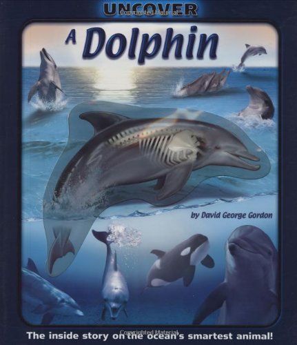 David George Gordon Uncover A Dolphin The Inside Story On The Ocean's Smartest Animal! 