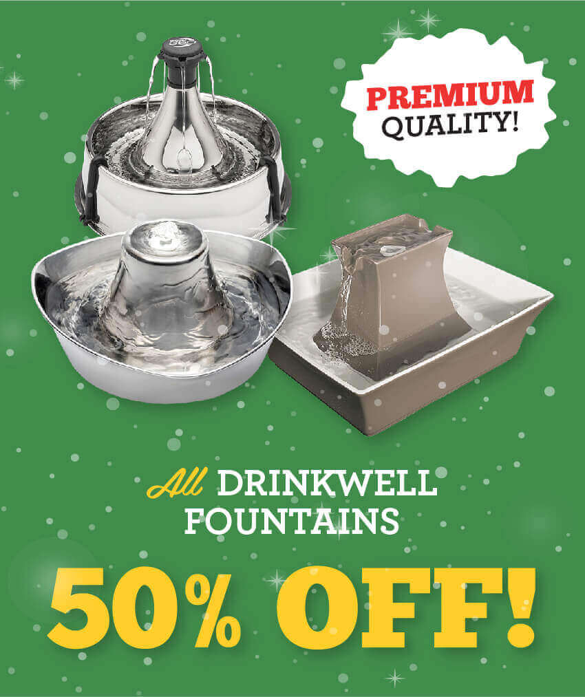 50 Percent Off Drinkwell Fountains