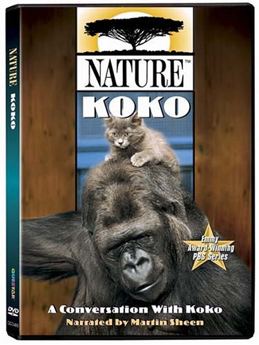 Koko/Nature@Nr