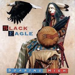 Black Eagle Soaring High 