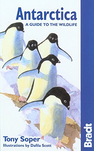 Tony Soper Bradt Antarctica A Guide To The Wildlife 0005 Edition; 