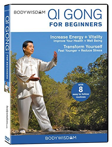 Qi Gong For Beginners/Chris Pei Michael Wohl