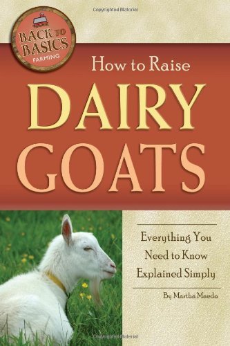 Martha Maeda How To Raise Dairy Goats Everything You Need To Know Explained Simply 