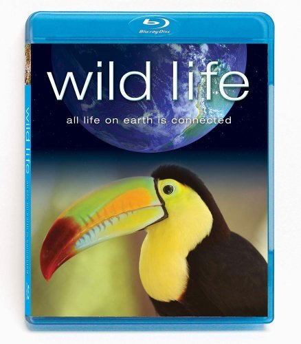 Wild Life Wild Life Blu Ray Ws Nr 2 Br 