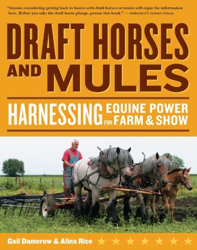 Gail Damerow Draft Horses And Mules Harnessing Equine Power For Farm & Show 