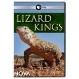 Nova Nova Lizard Kings Ws Nr 