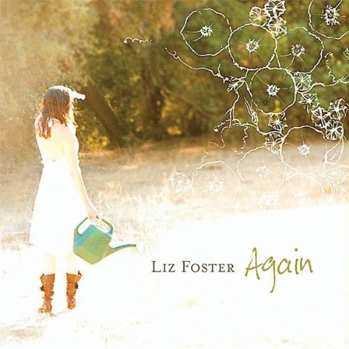 Liz Foster/Again