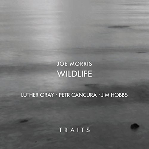 Joe Wildlife Morris Traits 