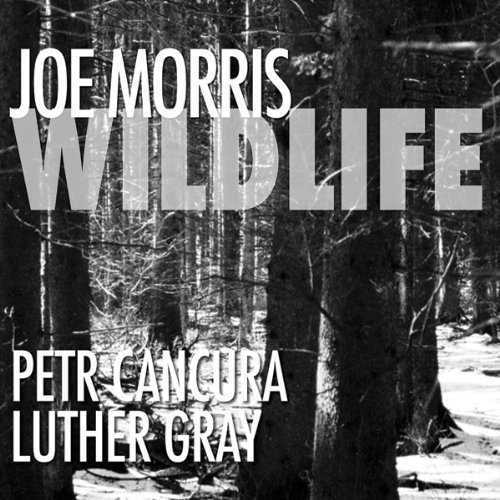 Morris/Cancura/Gray/Wildlife