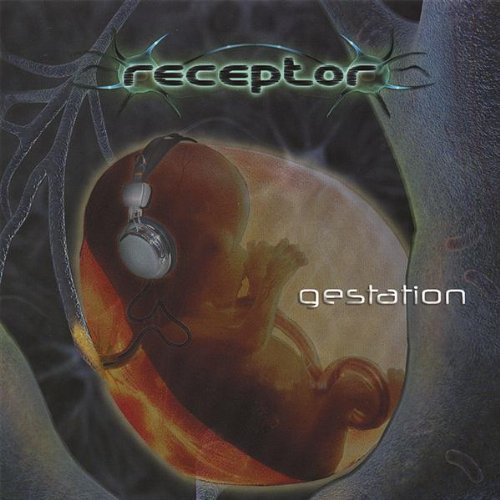 Receptor/Gestation
