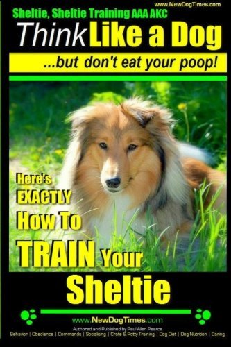 Paul Allen Pearce/Sheltie, Sheltie Training AAA AKC - Think Like a D@ Here's EXACTLY How To TRAIN Your Sheltie