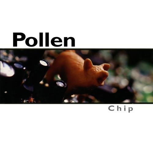 Pollen Chip CD R 