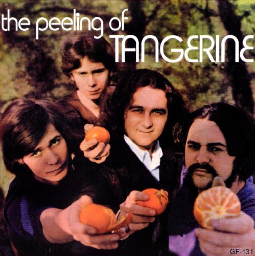 Tangerine Peeling Of Tangerine 