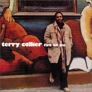 Terry Callier Fire On Ice 