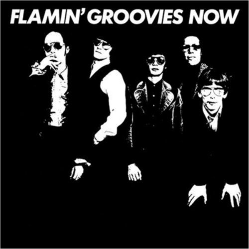 Flamin' Groovies/Now