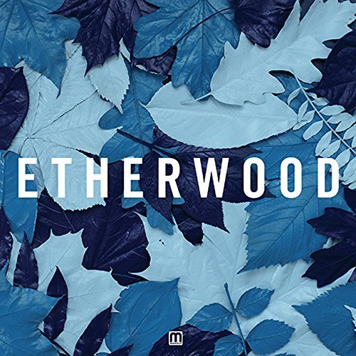 Etherwood/Blue Leaves@Import-Can