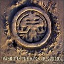 Rabbit In The Moon/Floori.D.A.