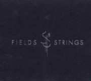 Brandon Fields Fields & Strings 