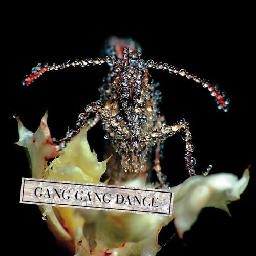 Gang Gang Dance/Eye Contact