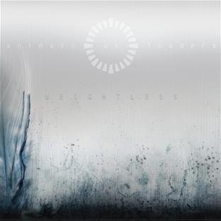 Animals As Leaders/Weightless