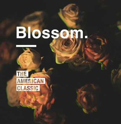 The American Classic/Blossom@Local