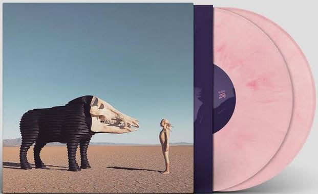 Man Man/Dream  Hunting  in  the  Valley  of  the  In-Between (Loser Edition)@Pink Vinyl