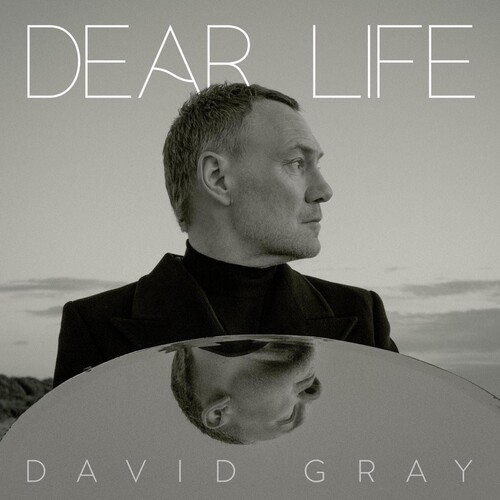 David Gray/Dear Life