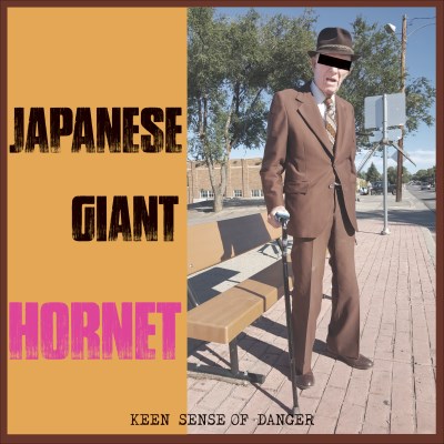 Japanese Giant Hornet Keen Sense Of Danger 