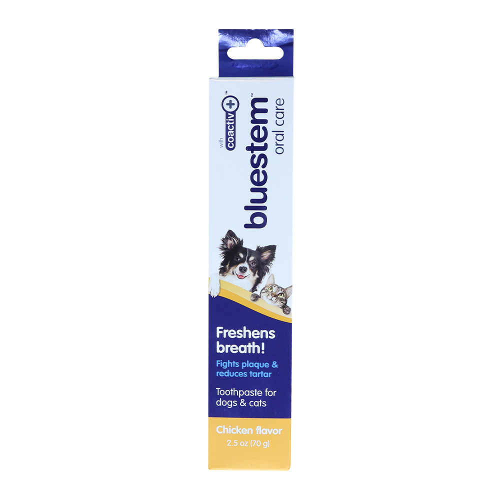 Bluestem Pet Toothpaste Chicken | Hollywood Feed | Your Local Pet Fo