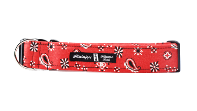 Mississippi Made - Dog Collar