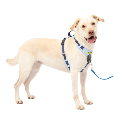 PetSafe - Dog Harness