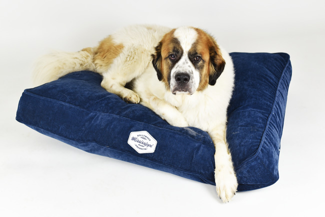 Mississippi Made Rectangle Dog Bed - Big Dog