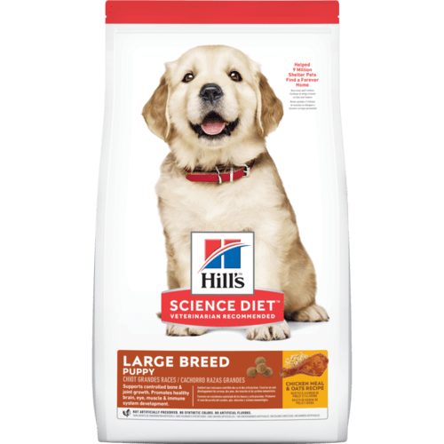 Science Diet Dog Food - Puppy Large Breed