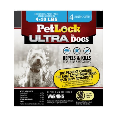 Petlock flea and tick shampoo hotsell