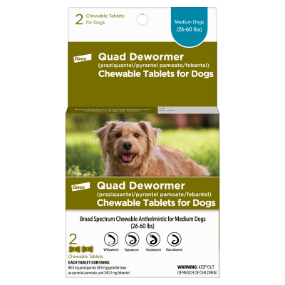 Elanco Quad Dewormer - Medium Dog