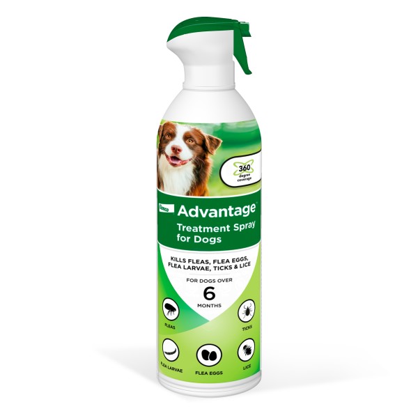 Elanco Advantage Flea & Tick Spray for Dogs