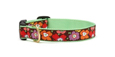 Up Country Snap Collar - Mod Floral