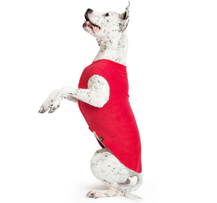 Gold Paw Fleece - Red
