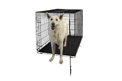 Hollywood Feed Dog Crate - Single Door