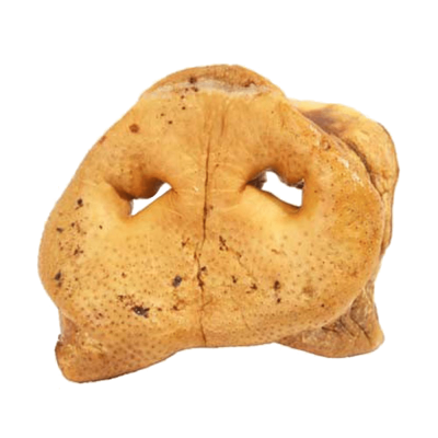 Redbarn Dog Chew - Pig Snout