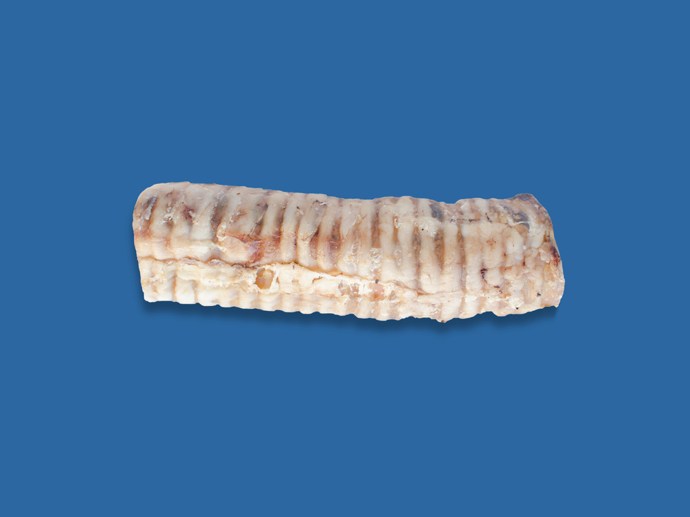 Butcher's Block Bones Dog Chew - Whole Beef Trachea