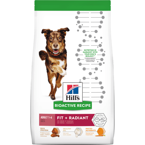 Science Diet Dog Food - Bioactive Adult Chicken & Barley