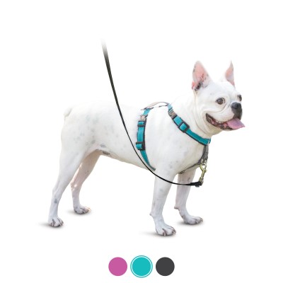 PetSafe Dog Harness - 3 in 1 Teal