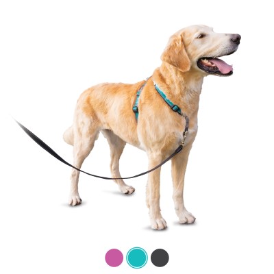 PetSafe Dog Harness - 3 in 1 Teal