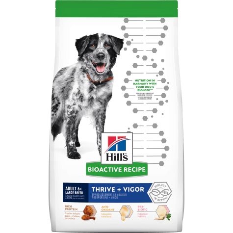 Science Diet Dog Food - Bioactive Large Breed 6+ Chicken & Brown Rice