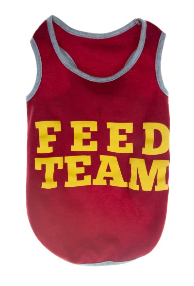 Hollywood Feed Tank Top - Feed Team